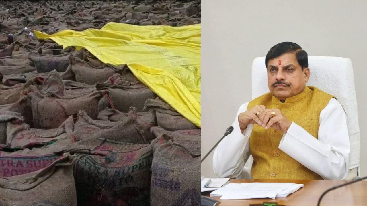 बारिश से चिंतित सीएम डॉ मोहन यादव के निर्देश, किसानों को समय पर कराएं भुगतान और उपार्जित धान का शीघ्र करें परिवहन