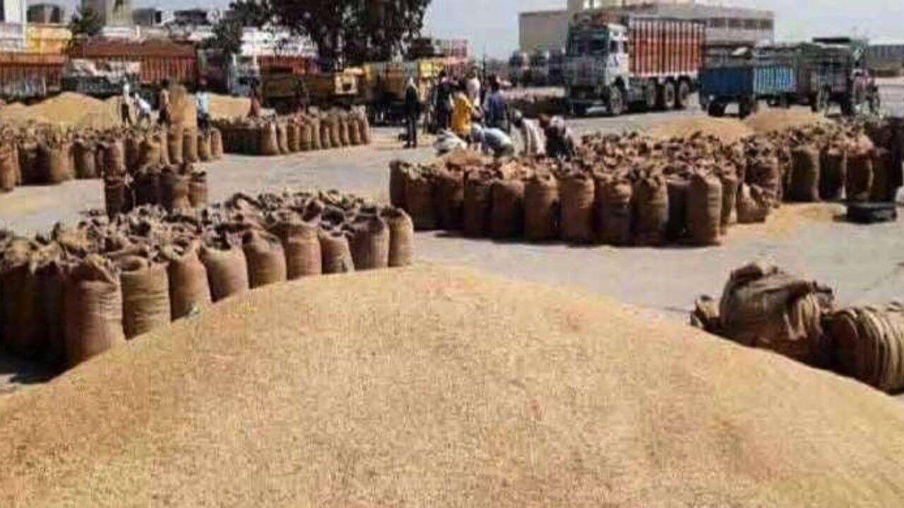 किसान भाई ध्यान दें, 20 जनवरी तक सरकार करेगी धान खरीदी, MSP है 2369 रुपये प्रति क्विंटल