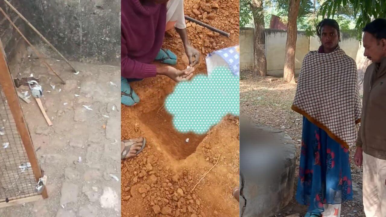 विवाद इंसान से, मौत के घाट उतारा 28 बेजुबान पालतू पक्षियों को, मामला ग्वालियर का