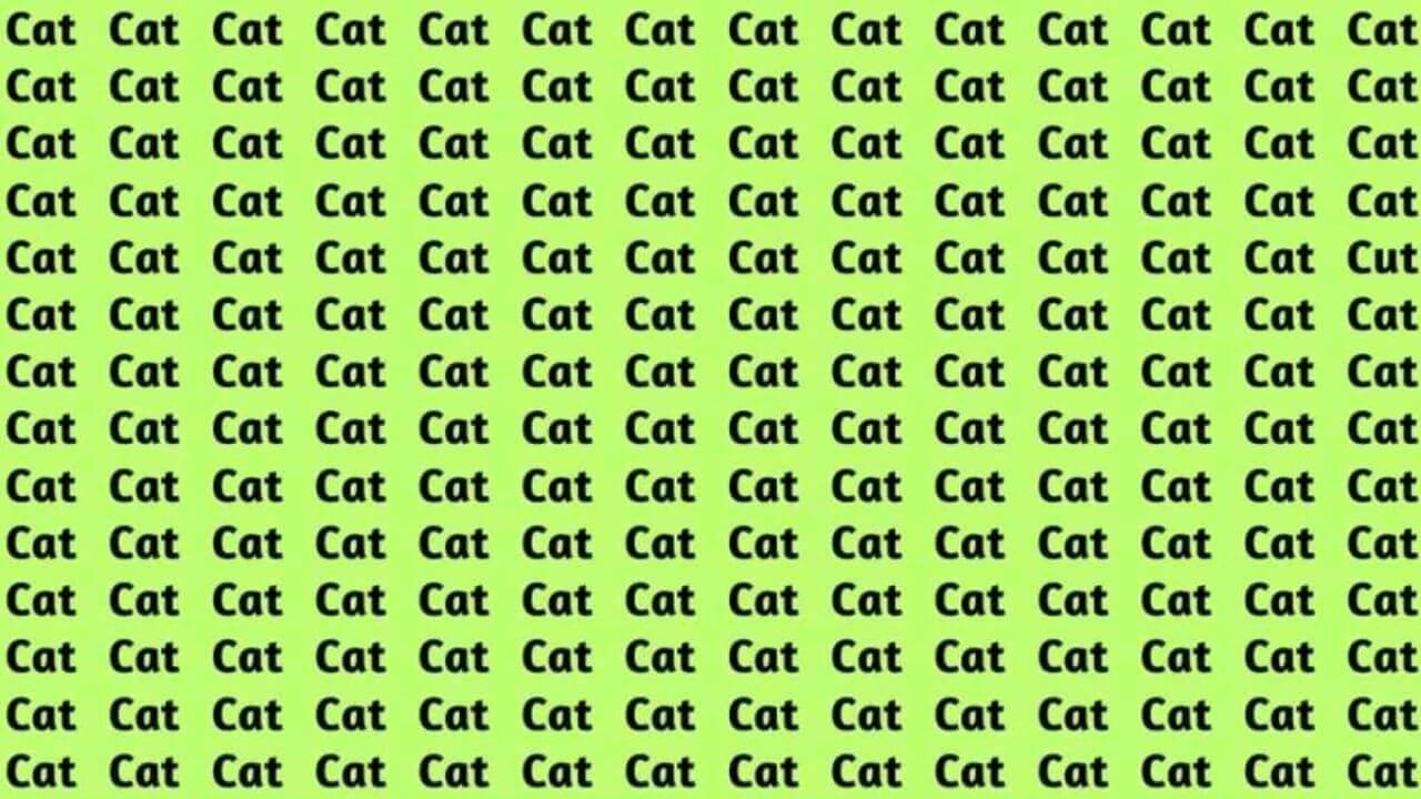 5 सेकंड में ढूंढें ‘Cat’ के बिच छिपा ‘Cut’ शब्द, टेस्ट करें अपना IQ