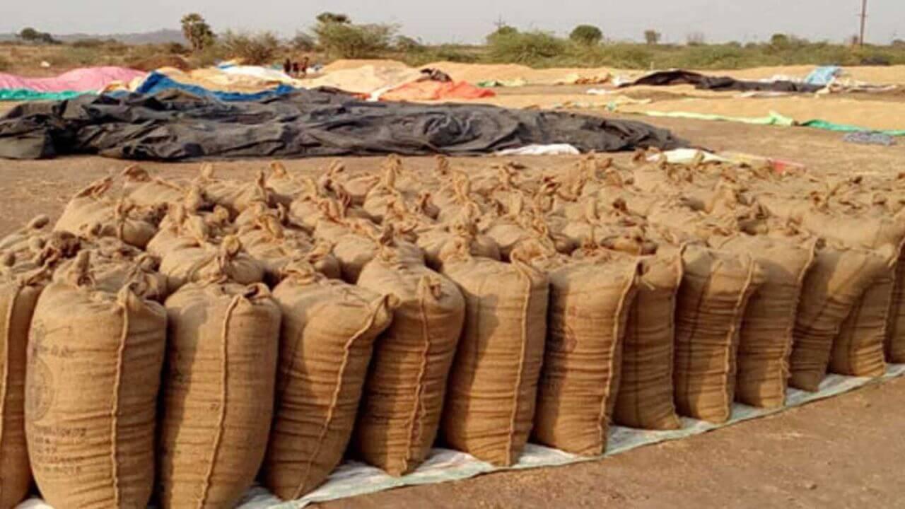 रीवा: धान उपार्जन केंद्र में बड़ी अनियमितता, प्रभारी और डॉटा इन्ट्री आपरेटर पर FIR दर्ज