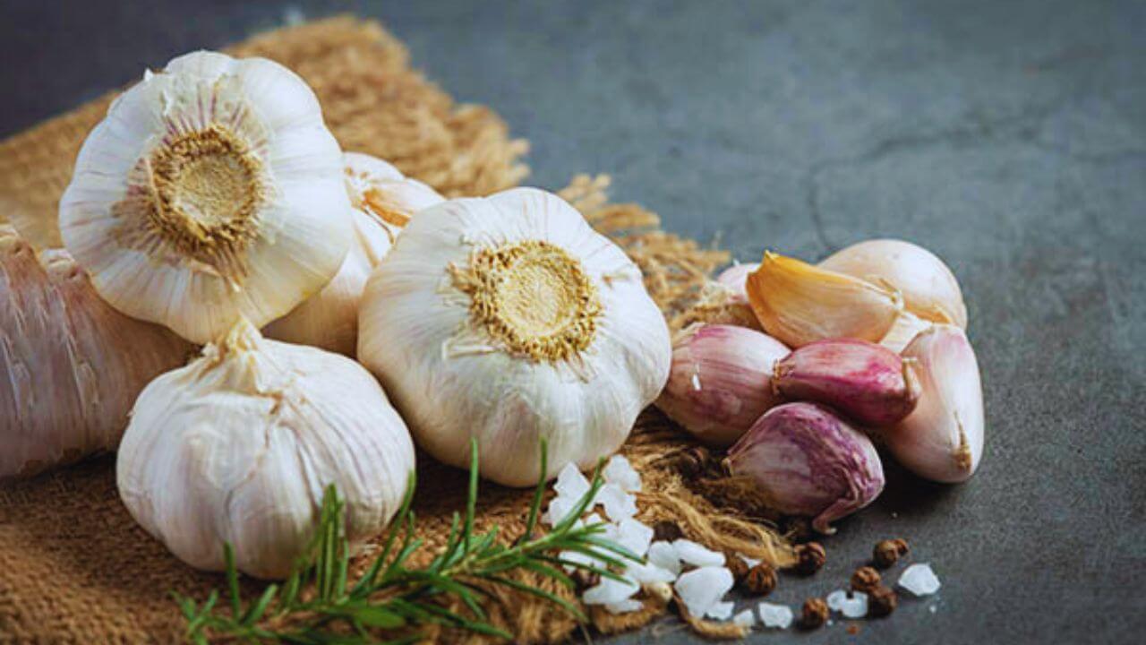बिजनेस में तरक्की चाहिए या धन-संपत्ति में बरकत, बहुत कारगर हैं लहसुन के ये 5 उपाय