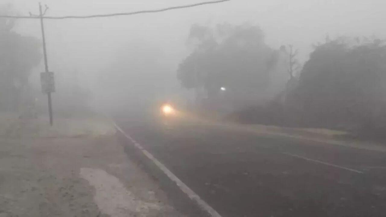 Rajasthan Weather : नए सिस्टम से  फिर बदलेगा मौसम, 5 संभागों में बादल बारिश के आसार, आज भी कोहरे का अलर्ट, पढ़े IMD का पूर्वानुमान