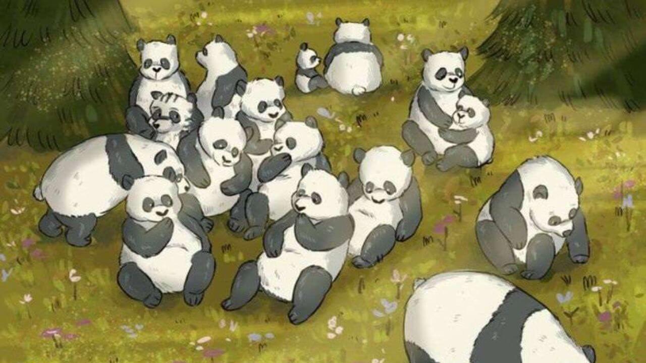 98% लोग पांडा के बीच रैकून को नहीं ढूंढ पाए! क्या आप इस चैलेंज को पूरा कर सकते हैं?