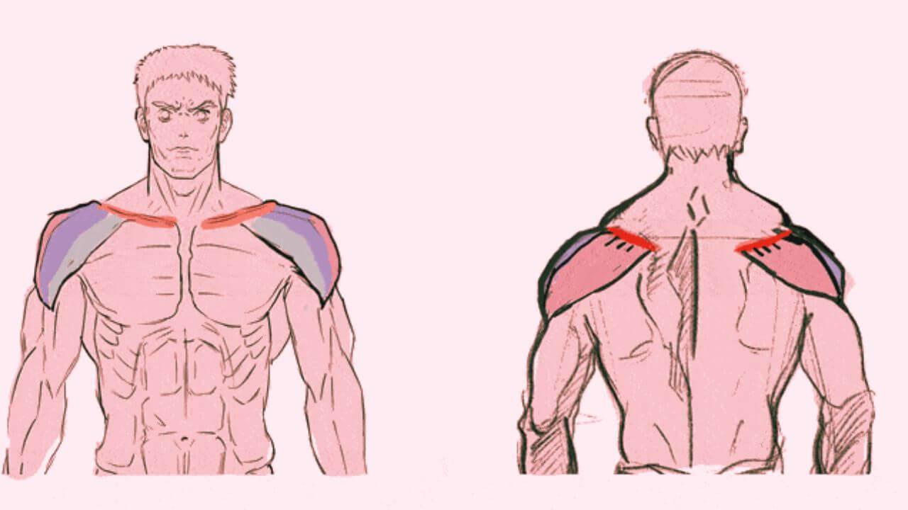 Personality Test: कंधों से पहचानें व्यक्तित्व के गुण, आकार बताएगा कैसा है स्वभाव