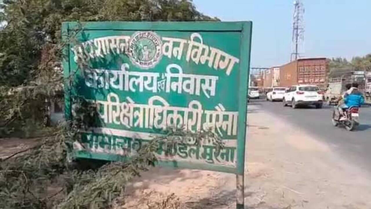 Morena News : वन विभाग की बड़ी कार्रवाई, टीम ने अवैध रेत से भरी दो ट्रेक्टर-ट्राॅली पकड़ी, ड्राइवर मौके से फरार
