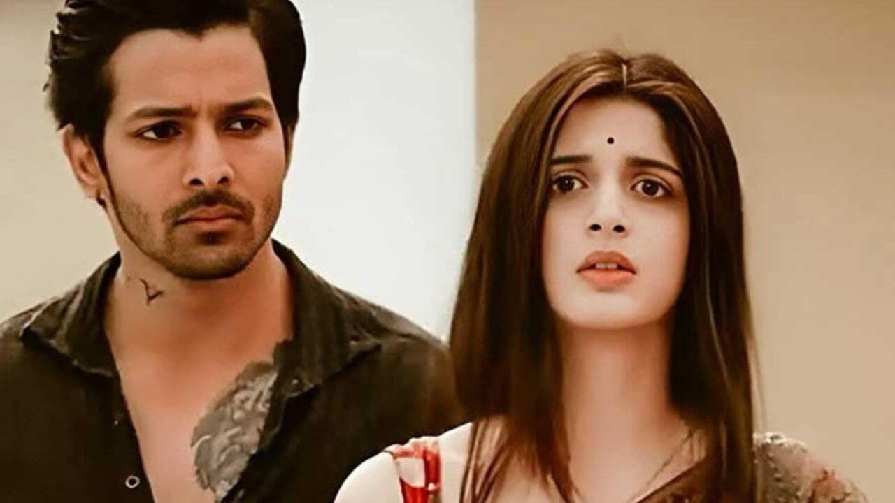 मावरा होकेन ने सनम तेरी कसम के सीक्वल पर किया रिएक्ट, री-रिलीज में मिली सफलता