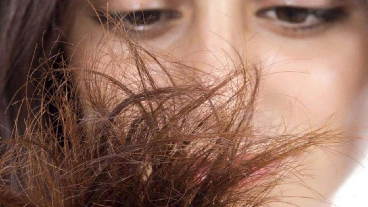 दोमुंहे बाल खूबसूरती में बन रहे हैं रुकावट, अपनाएं ये टिप्स, मिलेगा छूटकारा