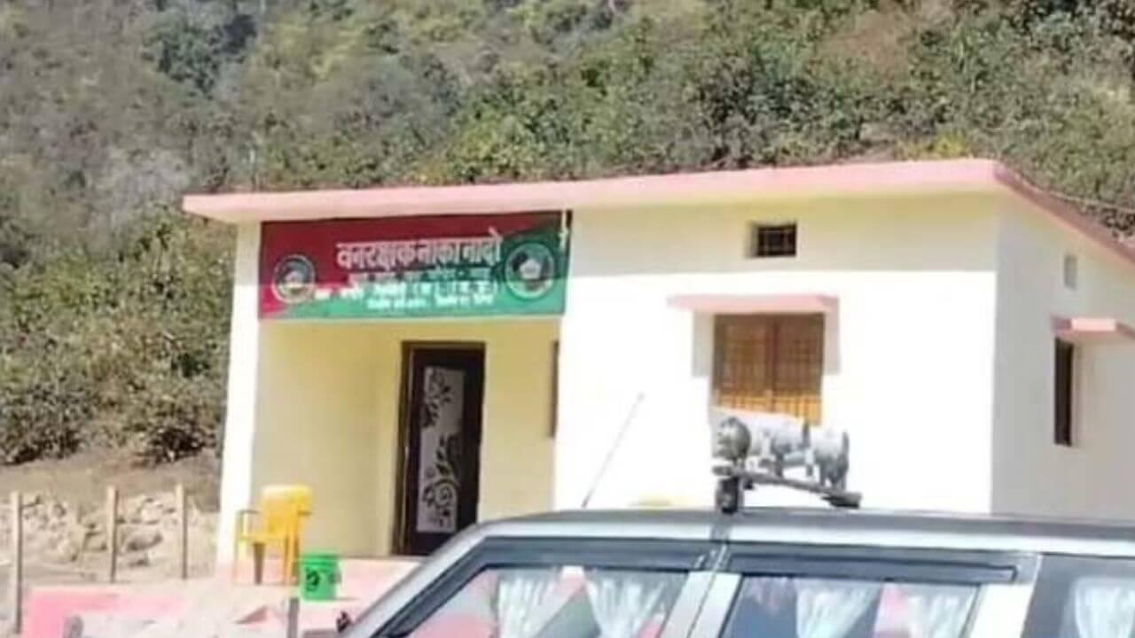 संजय गांधी टाइगर रिजर्व से सिंगरौली पहुंची बाघिन की संदिग्ध परिस्थितियों में मौत, रौदी गांव में मिला शव