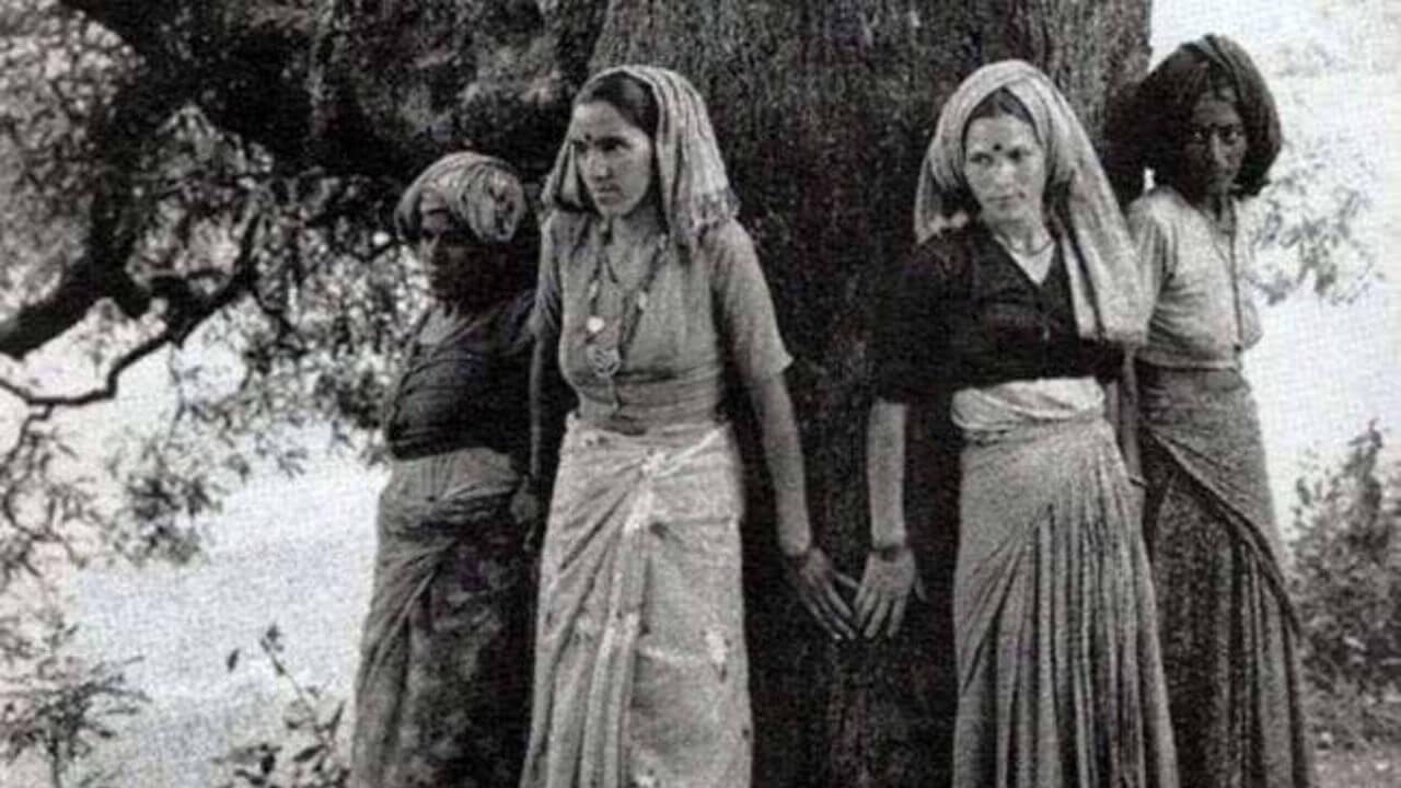 चिपको आंदोलन : वन और पर्यावरण बचाने की ऐतिहासिक लड़ाई, जानिए आंदोलन से जुड़ी पूरी कहानी