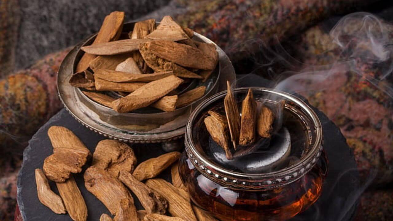 सोने और हीरे से भी महंगी है ये लकड़ी, इसकी खुशबू के आगे फीके हैं ब्रांडेड परफ्यूम