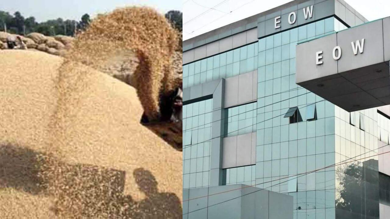 धान उपार्जन घोटाला : EOW का बड़ा एक्शन, 8 जिलों की 38 समितियों के 145 व्यक्तियों पर FIR दर्ज की