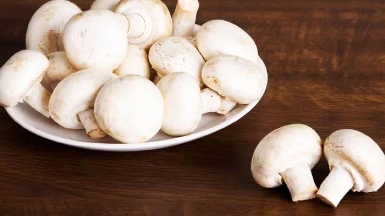 सेहत के लिए वरदान है मशरूम, आज ही डाइट में करें शामिल, खरीदते समय इन बातों का रखें ध्यान