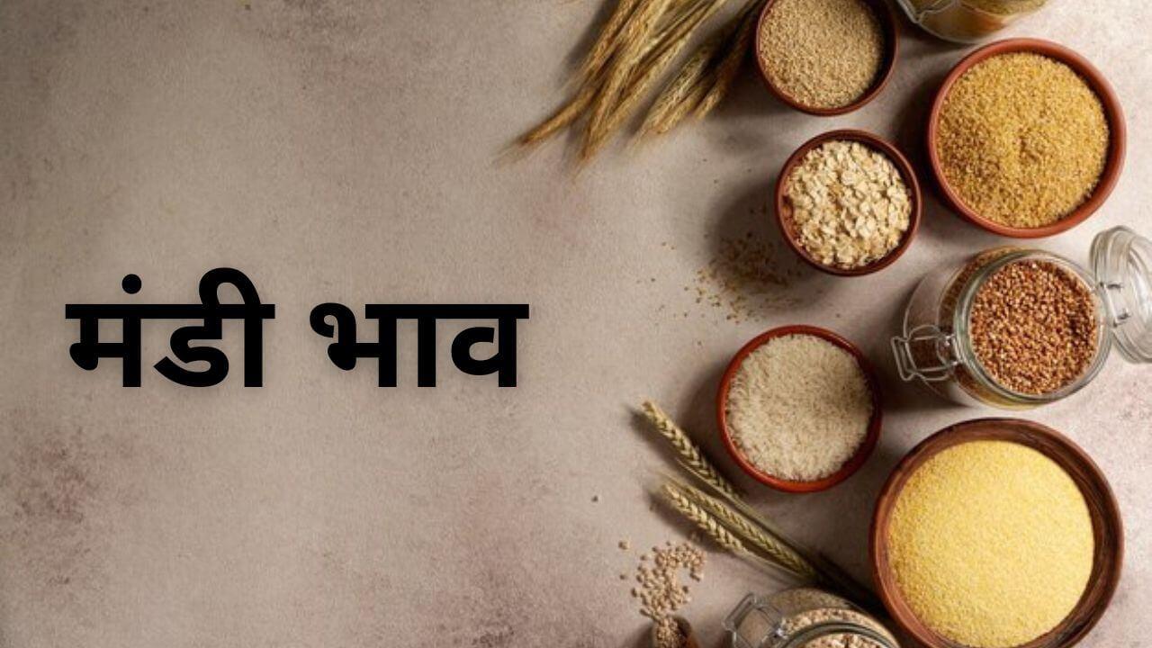 Mandi Rate: मूंग और डॉलर चना में जबरदस्त गिरावट, देसी चना तेज, देखें 9 मार्च का सटीक रेट