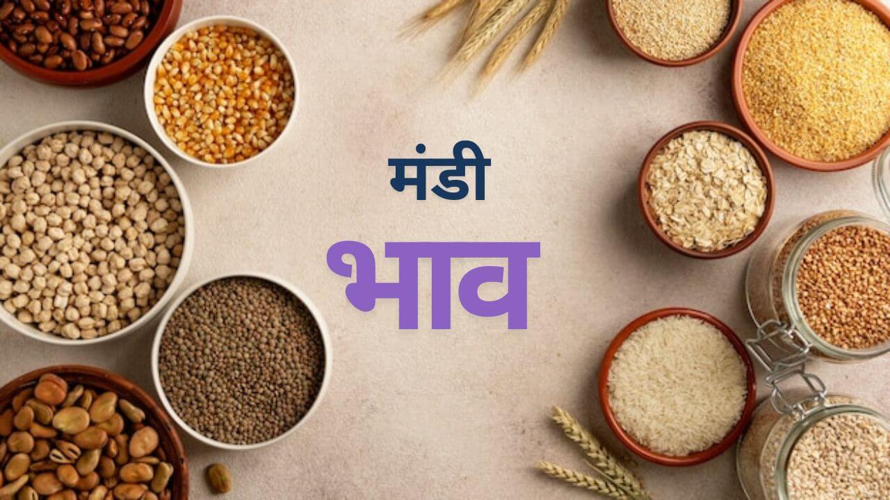 Mandi Bhav: गेहूं-सोयाबीन के दाम में तेजी, बढ़े मूंग के भाव, देखें आज का मंडी रेट