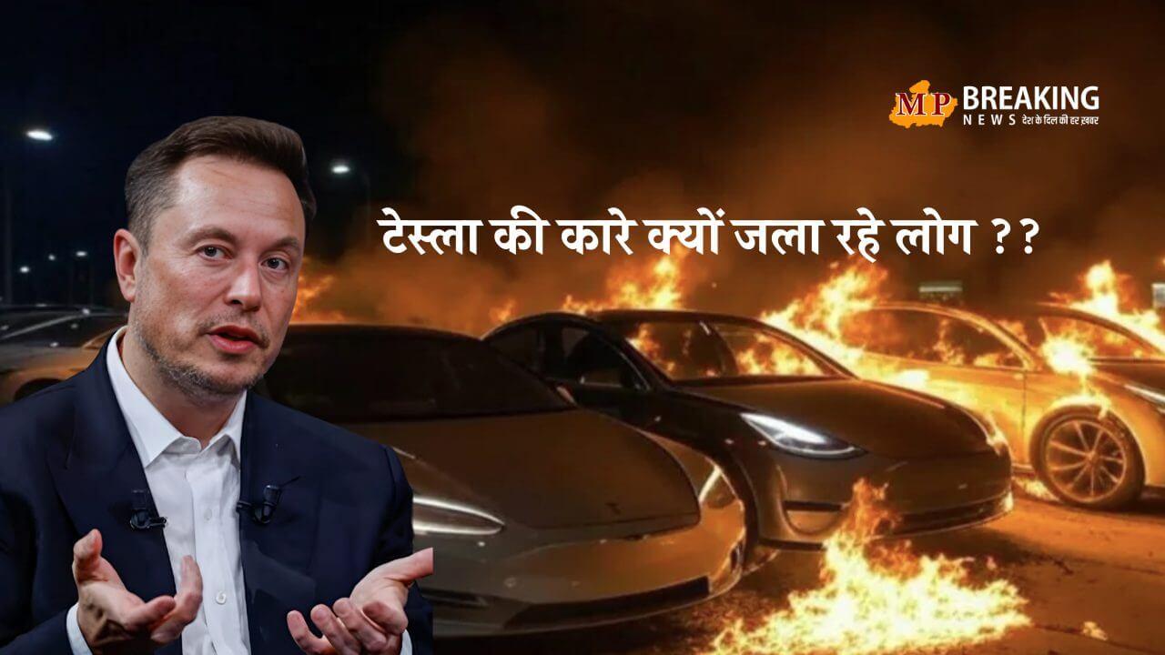 एलॉन मस्क से नाराजगी, टेस्ला की कारें जला रहे अमेरिकन और यूरोपियन लोग, चाइनीस कंपनी BYD को फायदा