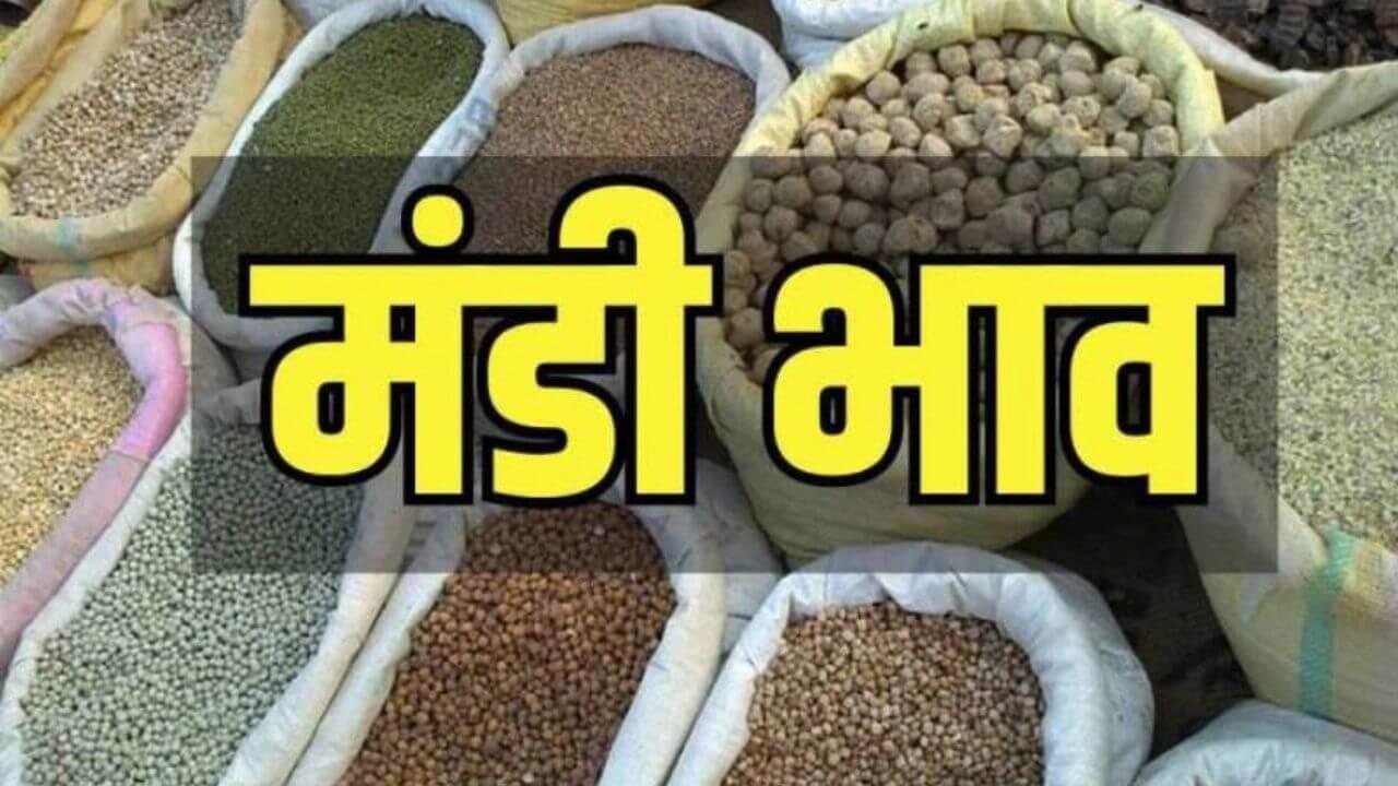 Mandi Rate: मूंग और तुअर के दाम में आया उछाल, डॉलर-देसी चना कमजोर, देखें 6 मार्च का ताजा रेट