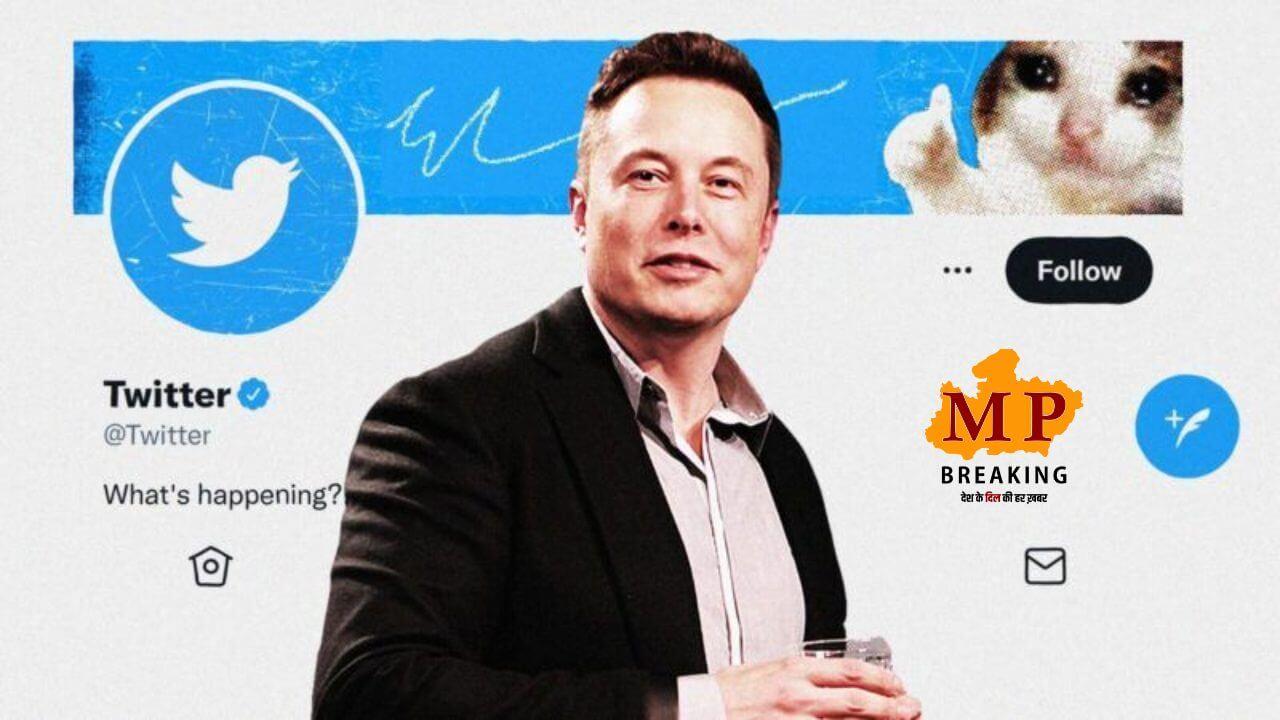 एलन मस्क ने 30 लाख में बेचीं ट्विटर की आईकॉनिक चिड़िया