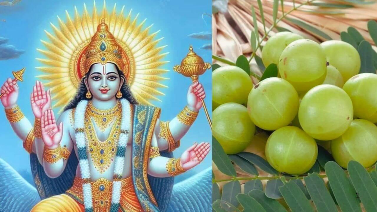 आंवला एकादशी को लेकर हो रहा हैं कन्फ्यूजन? यहां जानिए सही तारीख और पूजा विधि