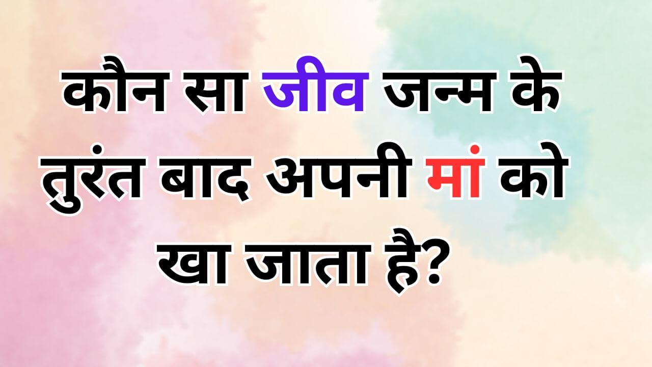 GK Quiz: क्या आपको पता है? ये जीव पैदा होते ही अपनी मां को क्यों खा जाता है?