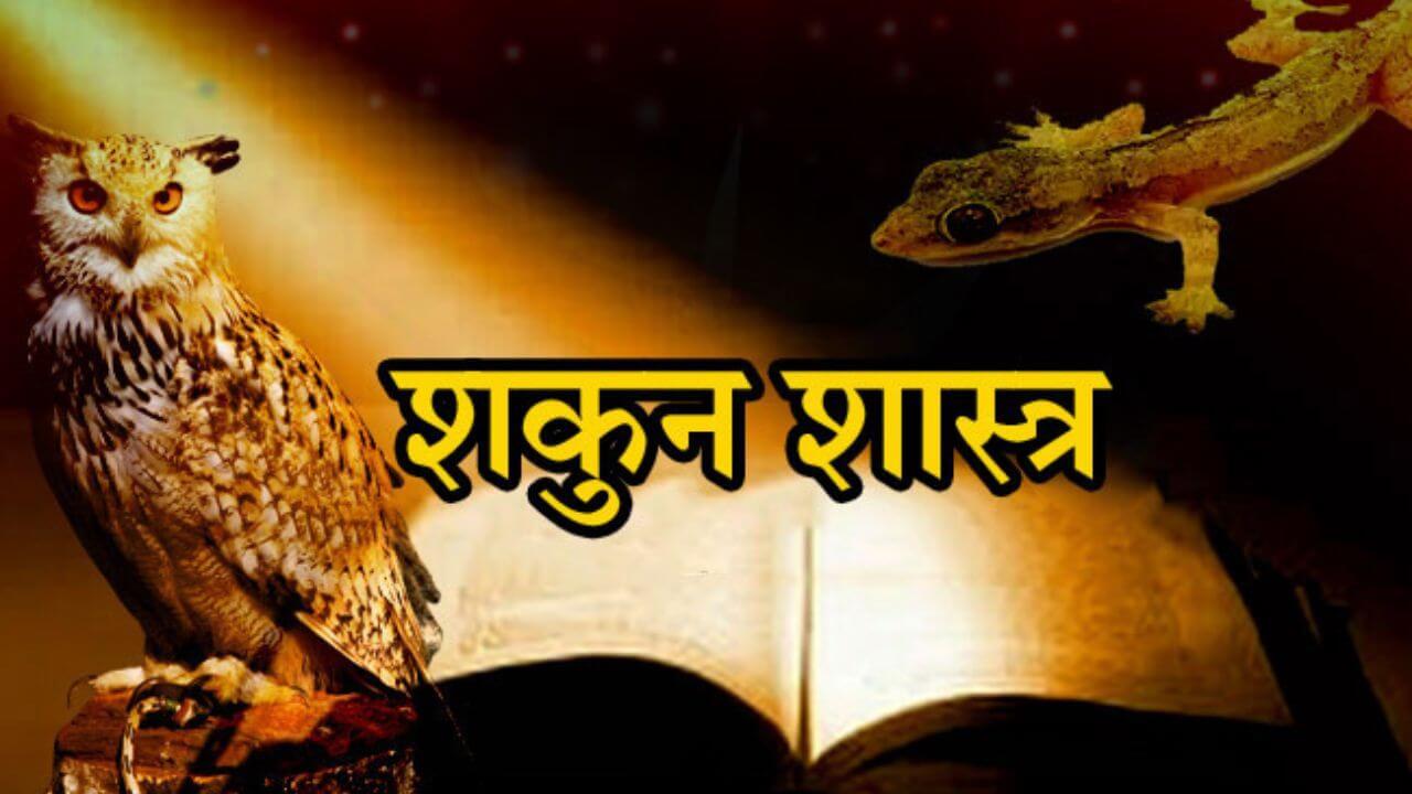 Shakun Shastra: घर में किन जीवों का दिखना होता है शुभ संकेत, जानें क्या कहता है शकुन शास्त्र