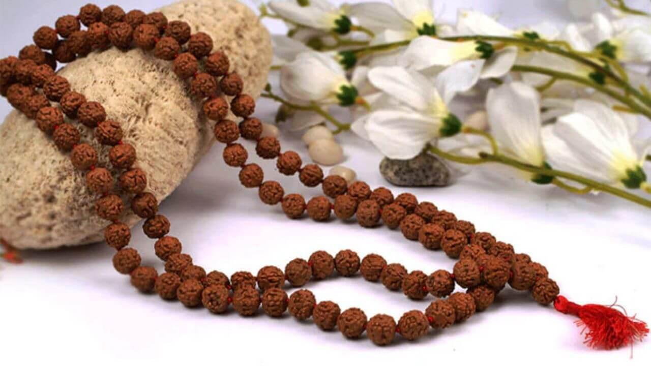 बेहद पवित्र होती है रुद्राक्ष की माला, धारण करने के बाद इन नियमों का करें पालन, वरना झेलना पड़ेगा महादेव का क्रोध