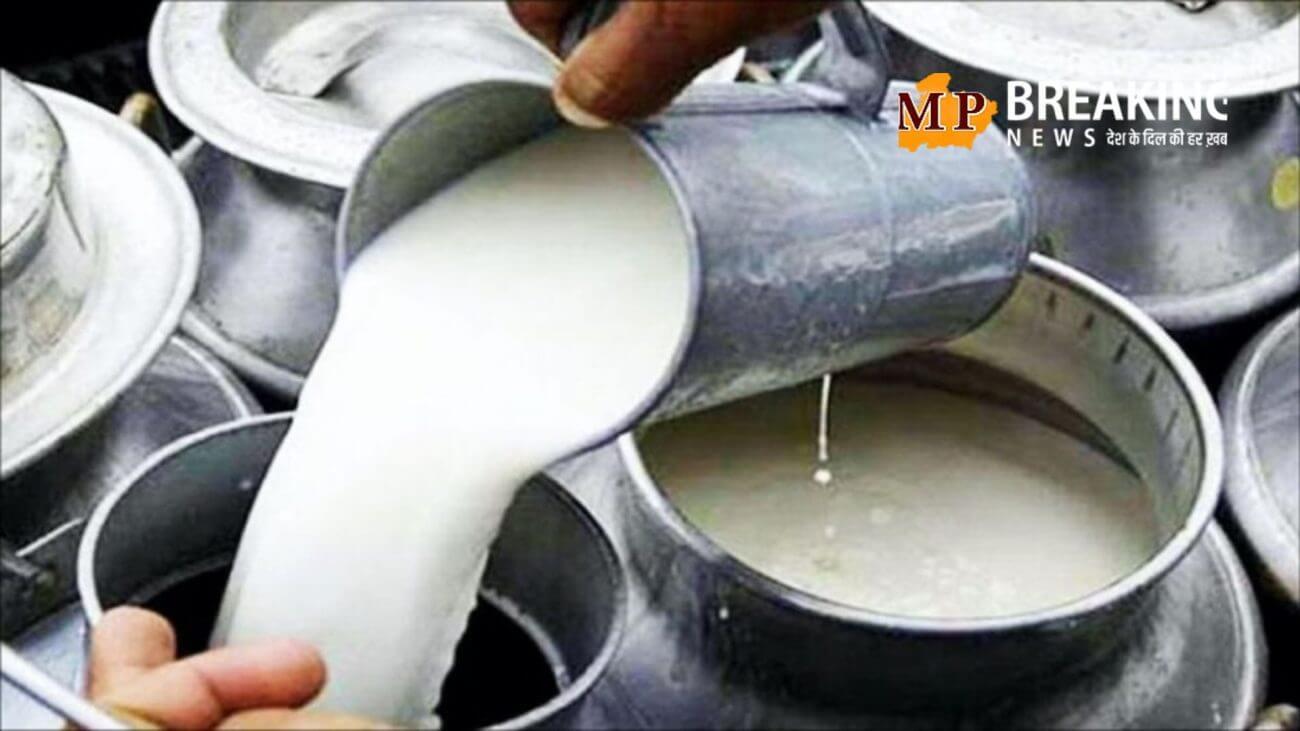 मध्य प्रदेश दूध उत्पादन में बनेगा नंबर वन! एमपी सरकार का किसानों को तोहफा, नई योजना से चमकेगी पशुपालकों की किस्मत