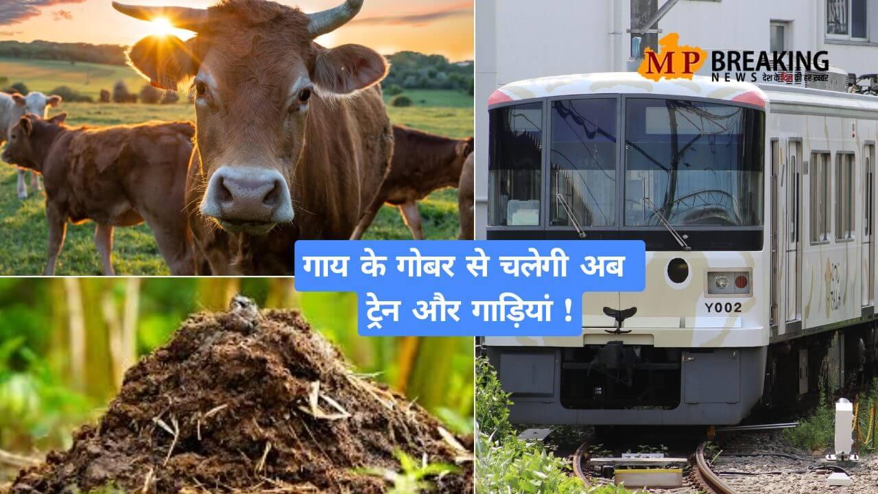 गाय के गोबर से चलेगी ट्रेन और गाड़ियां, जापान ने की अनोखी खोज