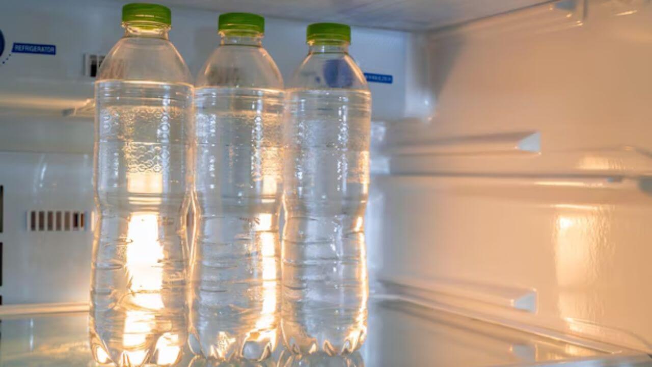 प्लास्टिक, कांच या स्टील? जानें फ्रिज में किस बोतल में पानी रखने से सेहत को होता है फायदा