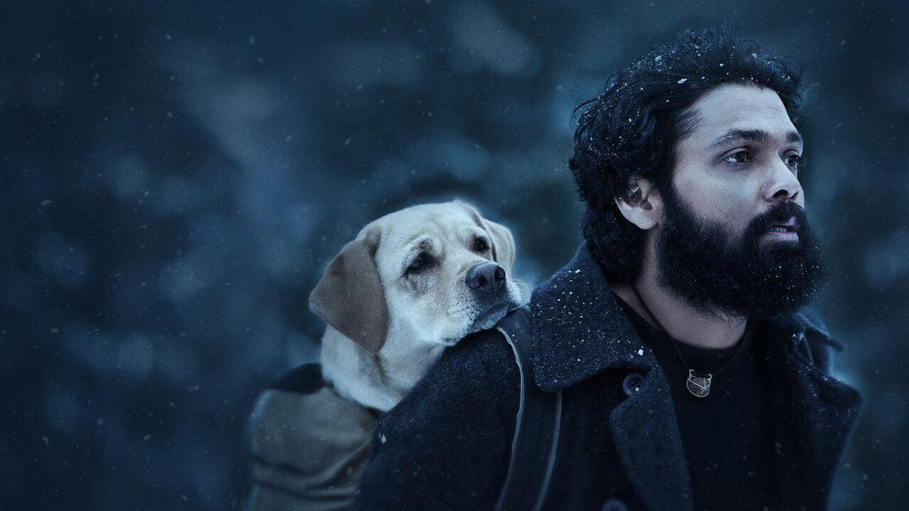 इमोशन और प्यार से भरी है साउथ की फिल्म 777 चार्ली, जिसने करोड़ों दिल जीते!