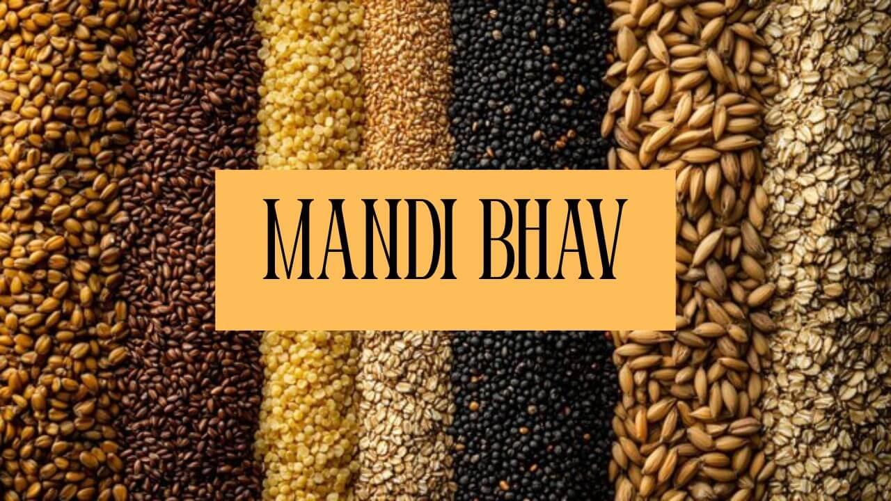 28 जुलाई 2025 का ताज़ा Mandi Bhav जानिए आज गेहूं, चना, सोयाबीन और प्याज़ के ताज़ा रेट, कहां बढ़े दाम और कहां गिरे