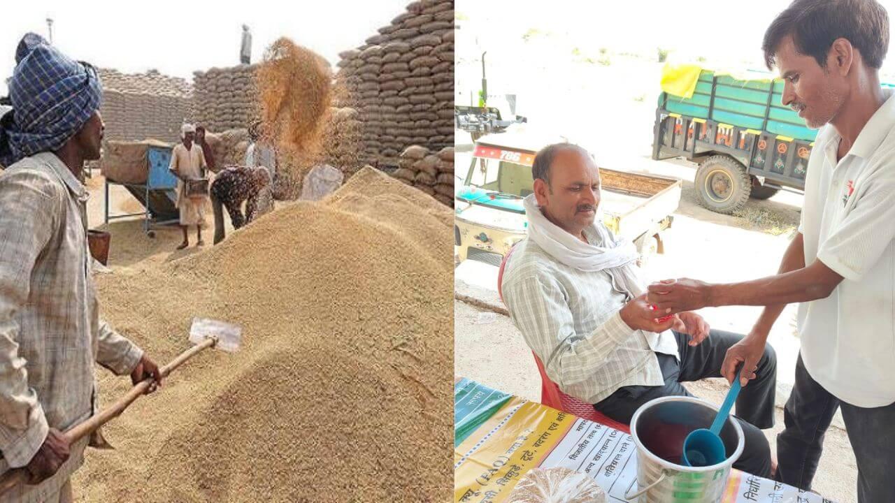 MP में अब तक 56 लाख मीट्रिक टन से अधिक गेहूं खरीदी, उपार्जन केंद्रों पर किसानों का वैलकम ड्रिंक्स से स्वागत, 30 अप्रैल स्लाट बुकिंग की लास्ट डेट  