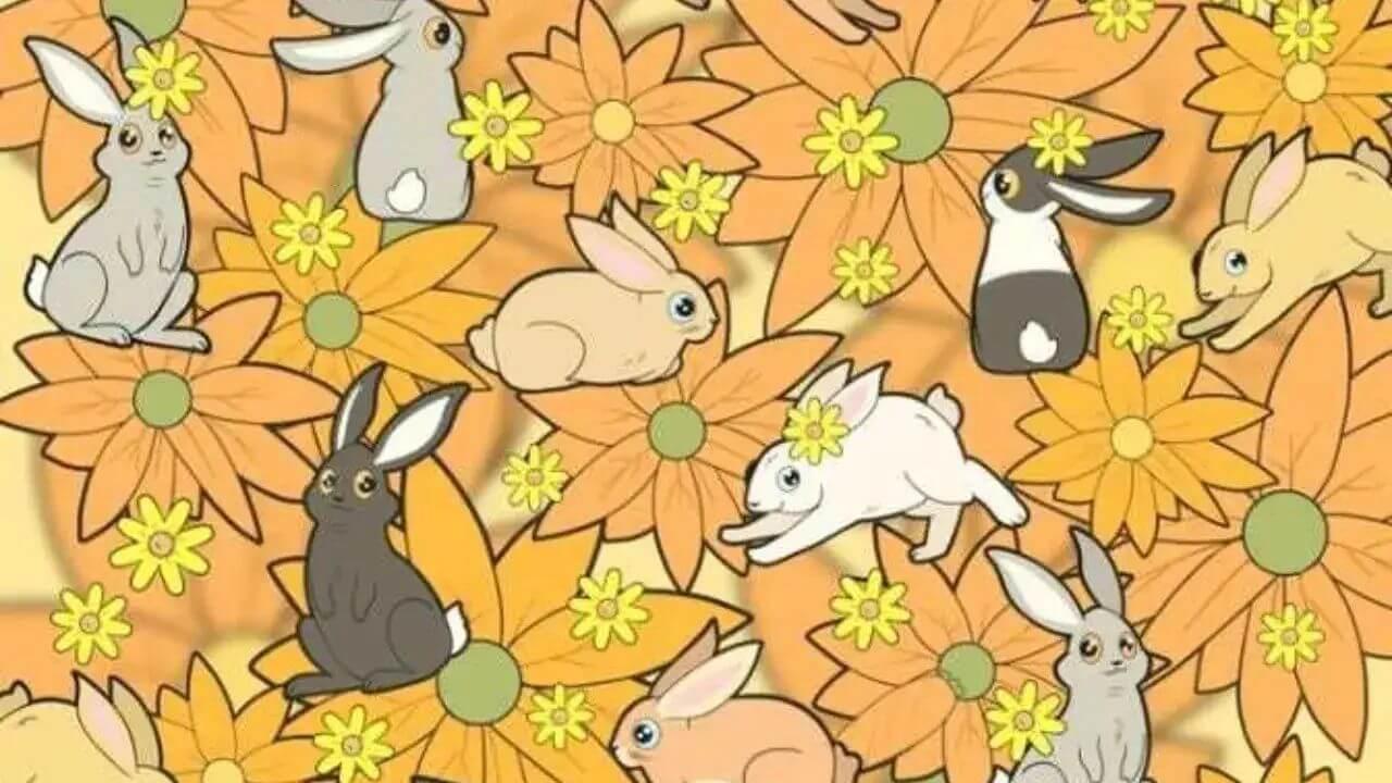 इन खरगोश को नहीं मिल रही गाजर, क्या आपको मिली? 16 सेकंड में ढूंढें