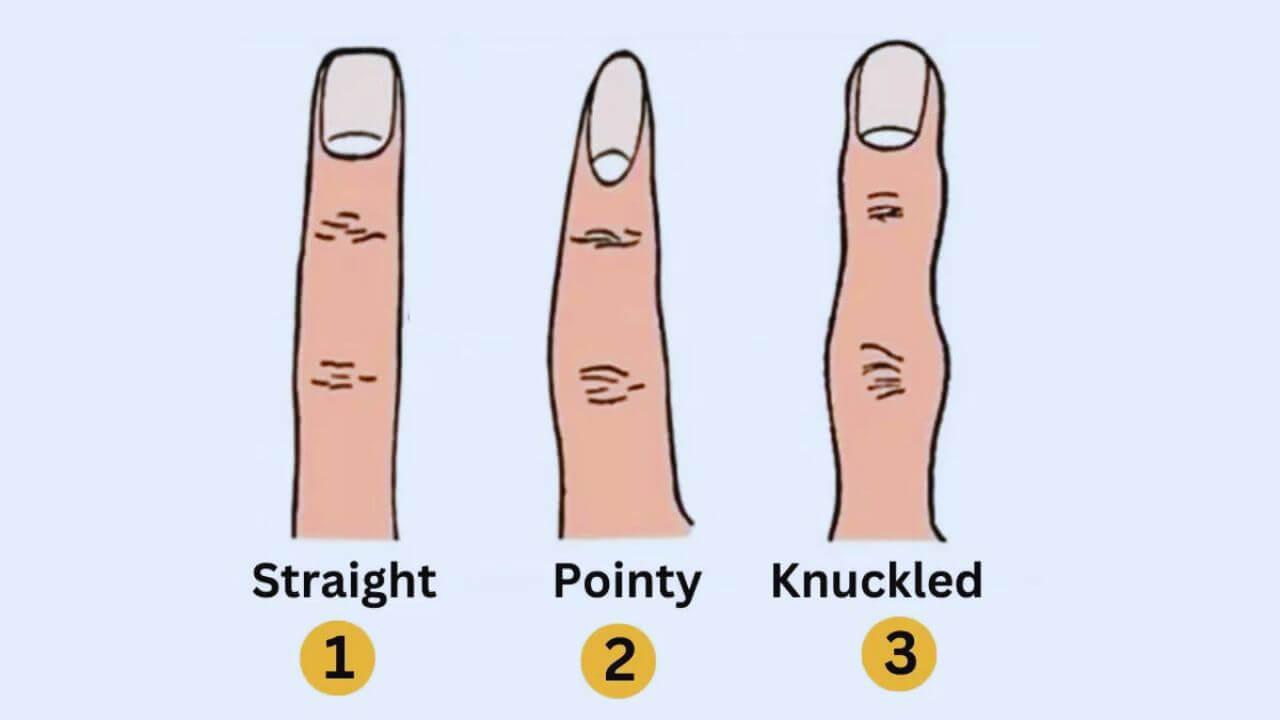 Personality Test: उंगलियों के आकार से जानें व्यक्ति का स्वभाव, सामने आएंगे व्यक्तित्व में छुपे गुण