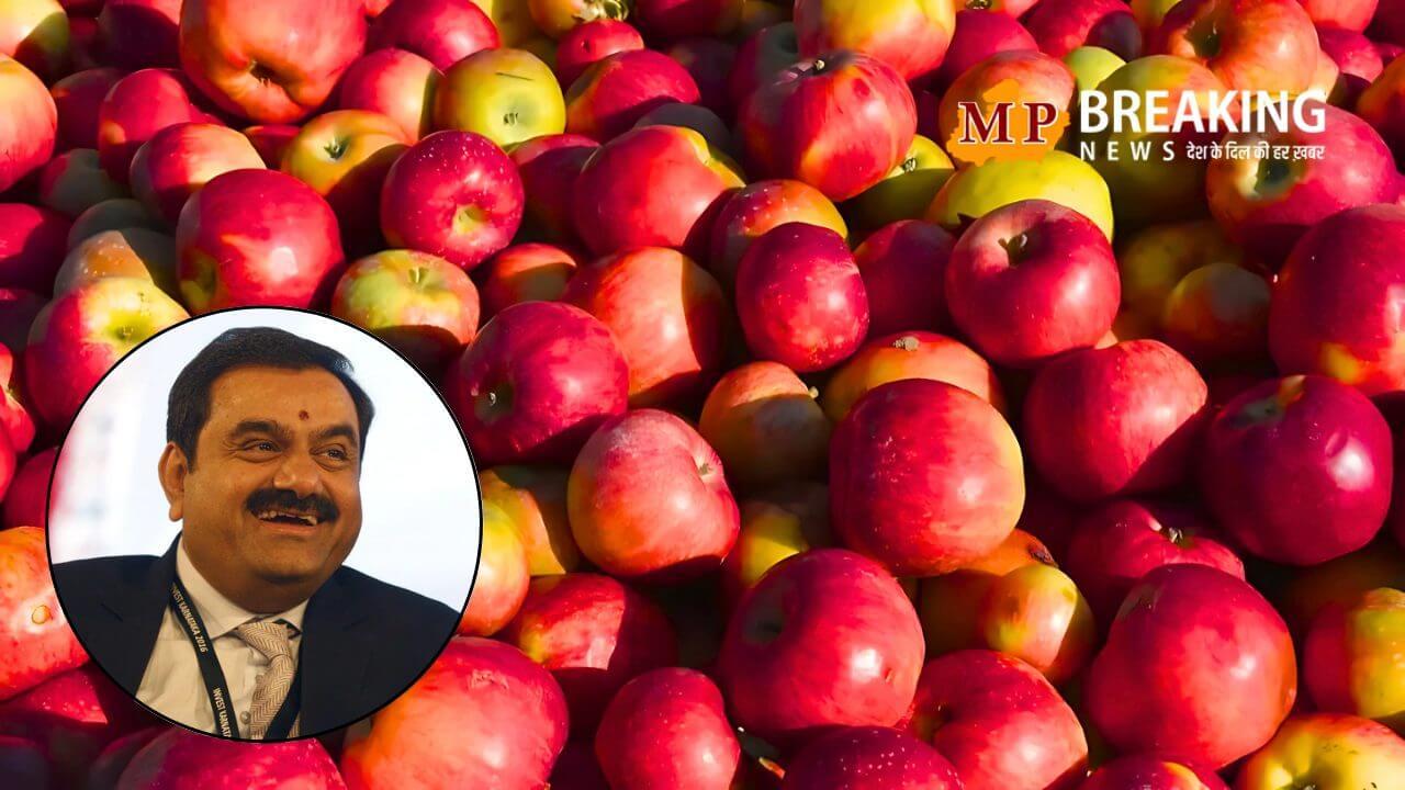 गौतम अडानी का ‘एप्पल’ साम्राज्य, ऐसे बदली हजारो किसानों की किस्मत, देश के हर कोने तक पहुंचाई सेवफ़ल की मिठास!