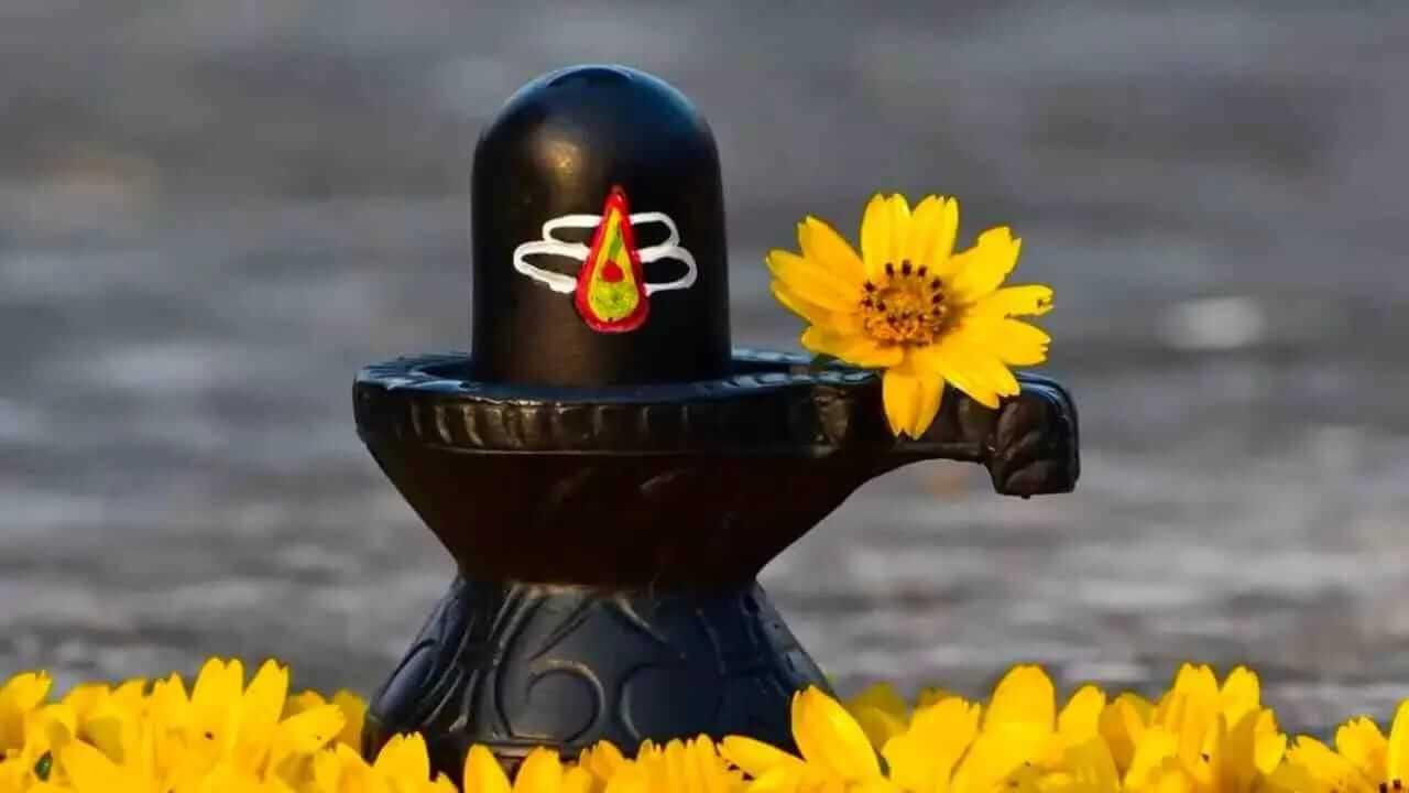 इस विधि से करें शिवलिंग की पूजन, इन 5 नियमों का रखें खास ख्याल, मिलेगा भोलेबाबा का आशीर्वाद