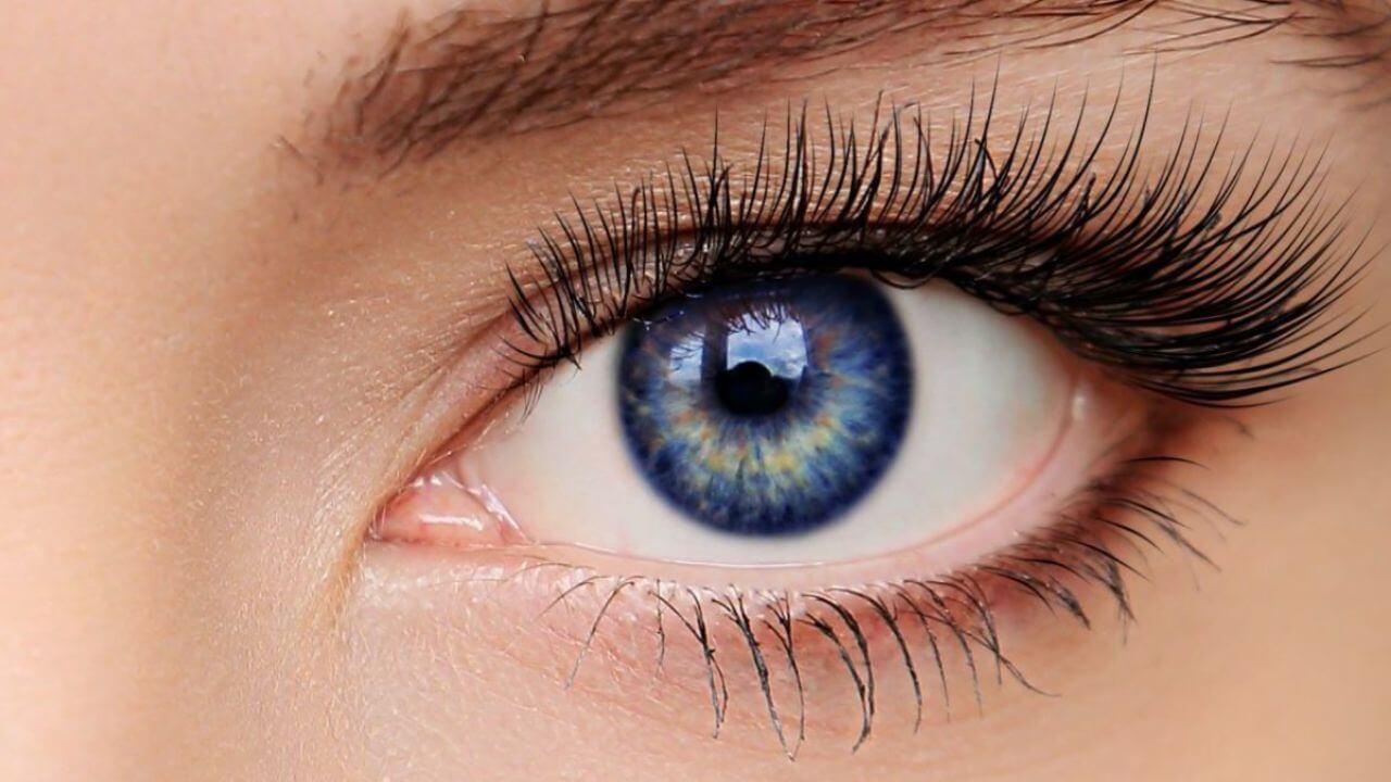Personality Test: पलकों से उजागर होंगे व्यक्तित्व के गुण, आकार से पहचानें व्यक्ति का स्वभाव