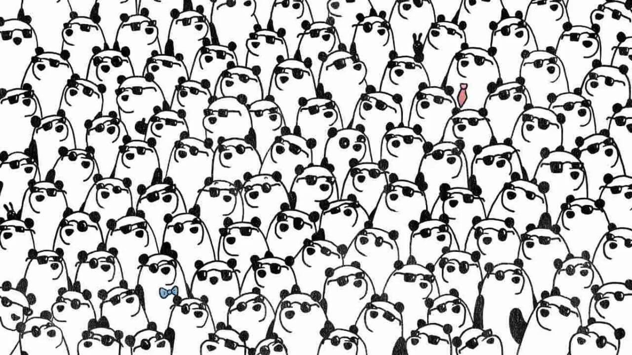 दिमाग का दही कर देगी ये तस्वीर, क्या आप 5 सेकंड में ढूंढ सकते हैं बिना सनग्लासेस वाले 3 पांडा?