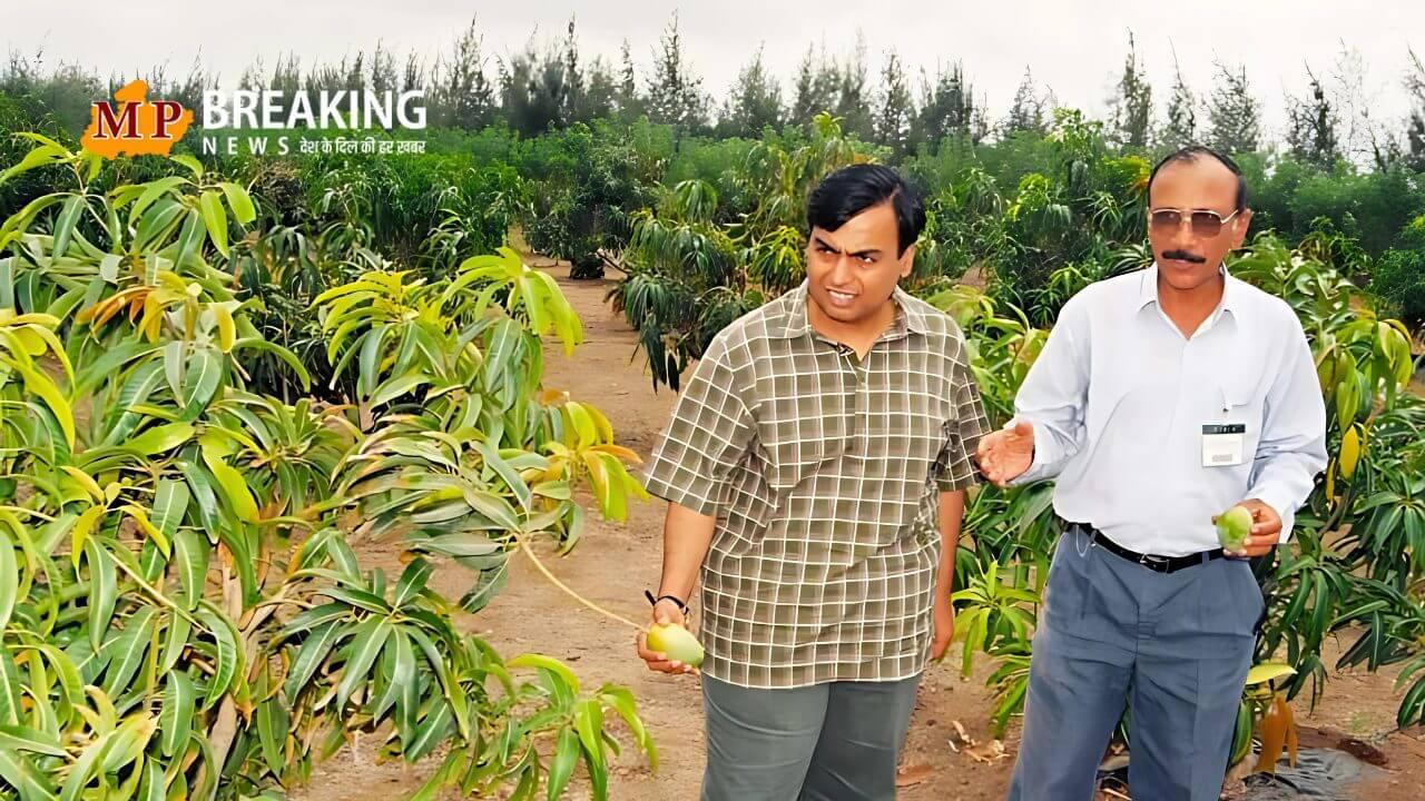 मुकेश अंबानी का “आम” साम्राज्य, दुनिया का सबसे बड़ा निर्यातक, अमेरिका करता है सबसे ज्यादा खरीद