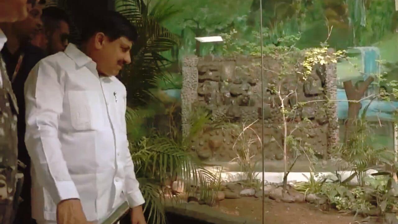 अब इंदौर में आया किंग कोबरा, सीएम डॉ. मोहन यादव ने कमला नेहरू प्राणी संग्रहालय को दी नई सौगात