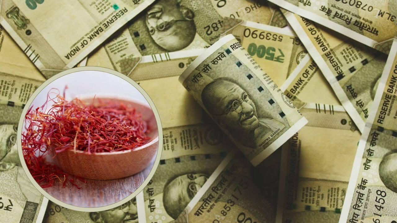 धन लाभ के लिए करें ये काम, केसर का यह आसान टोटका खोल सकता है समृद्धि के द्वार