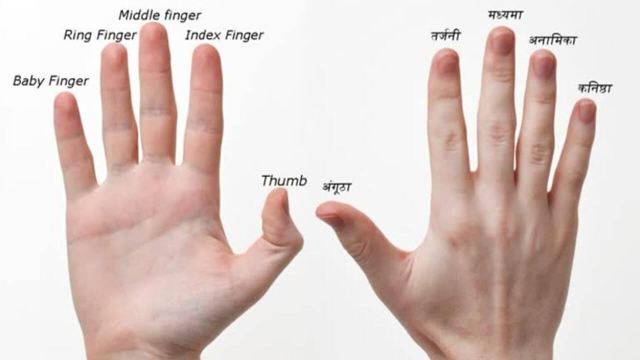 Personality Test: उंगलियों का आकार खोलेगा दिल के राज, आसानी से पहचाने व्यक्ति की पर्सनैलिटी