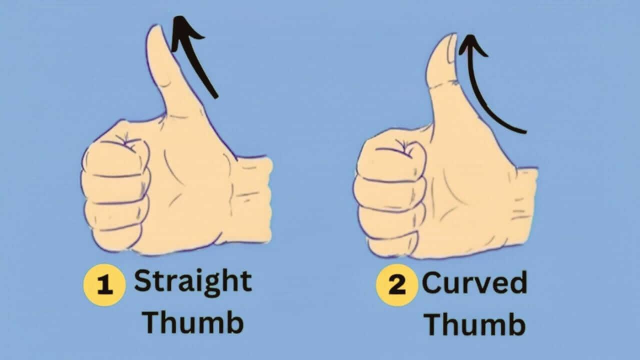 Personality Test: अंगूठा खोलेगा व्यक्तित्व के राज, आकार से पहचाने किसी का भी स्वभाव