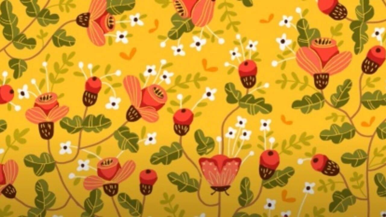 9 सेकंड में छुपी बटरफ्लाई को ढूंढ पाए तो समझो आपकी आंखें किसी एक्स-रे से कम नहीं, ट्राई करके देखिए