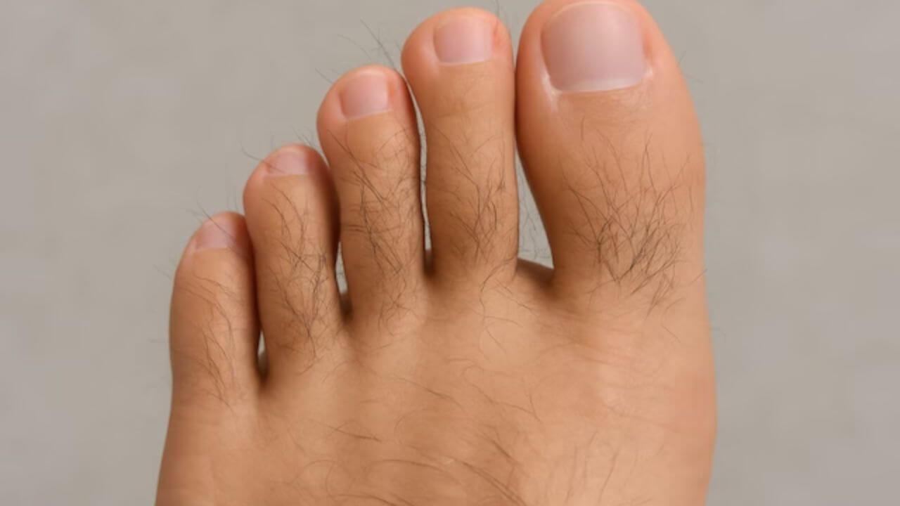 पैर की उंगलियों पर बाल होना शुभ या अशुभ? सामुद्रिक शास्त्र में जानिए इसका रहस्य