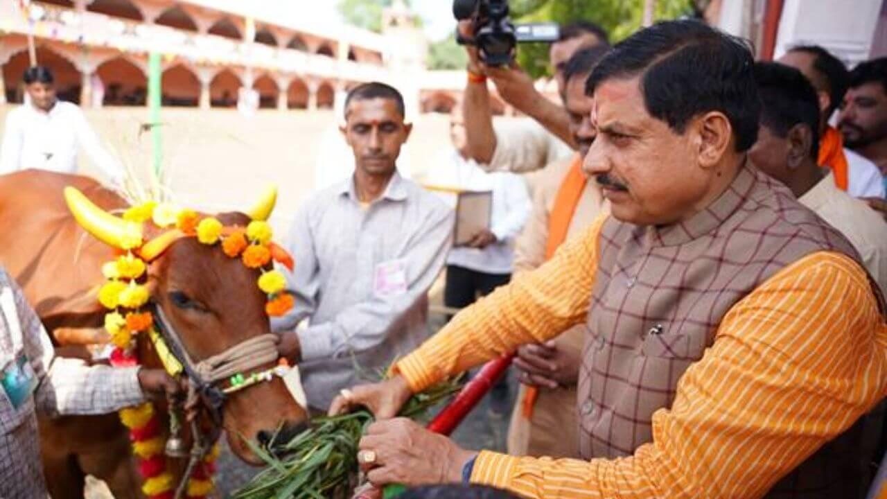 सीएम डॉ मोहन यादव के निर्देश, गौशालाओं के प्रबंधन में धार्मिक संस्थाओं और दानदाताओं को जोड़ें, देसी नस्ल गौपालन को प्रोत्साहित करें