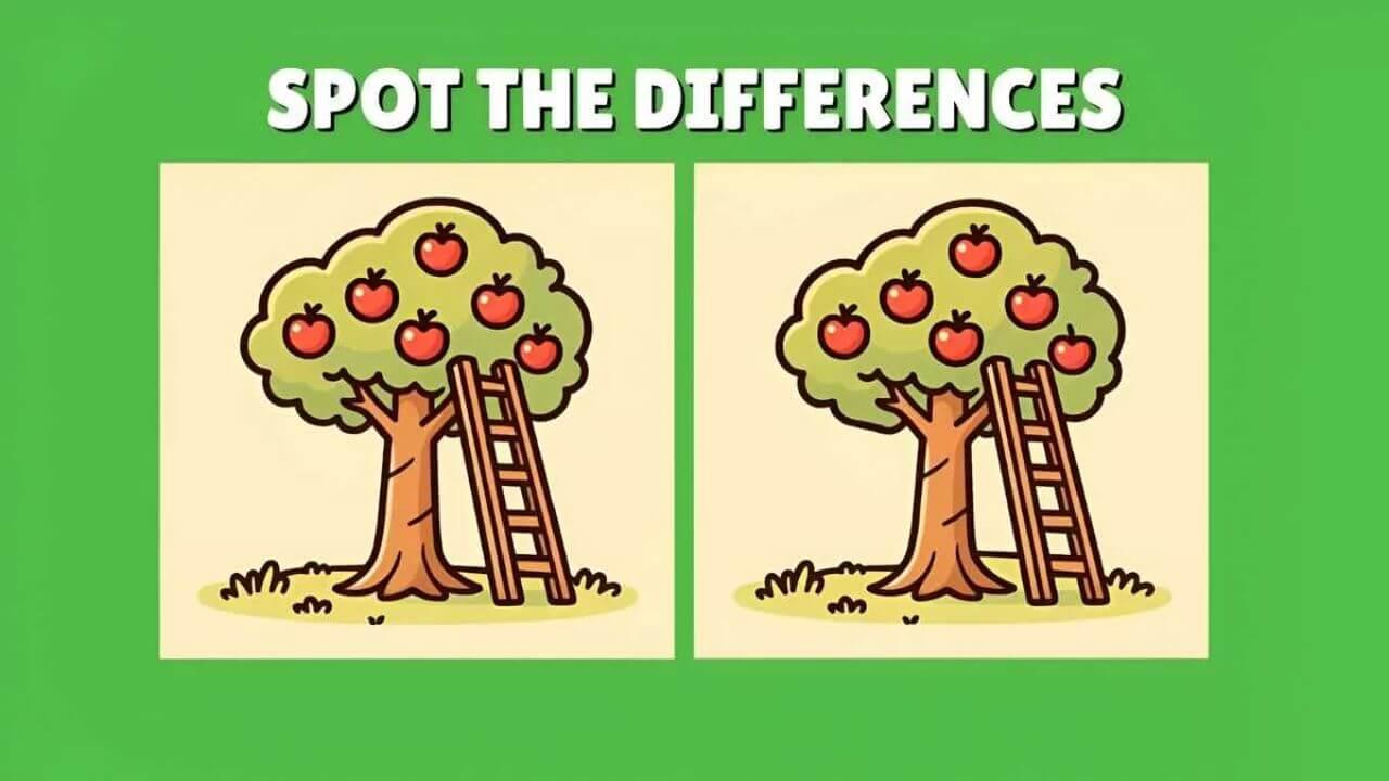 दिमाग का दही हो जाएगा! तस्वीरों के इन 3 छोटे-छोटे फर्क को 11 सेकंड में ढूंढ पाना नामुमकिन है