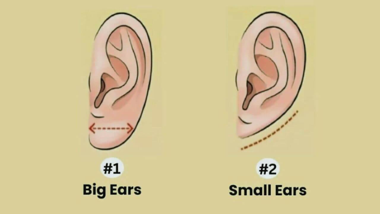 Personality Test: कान की बनावट खोलेगी व्यक्तित्व के राज, पता चलेगा कैसा है स्वभाव