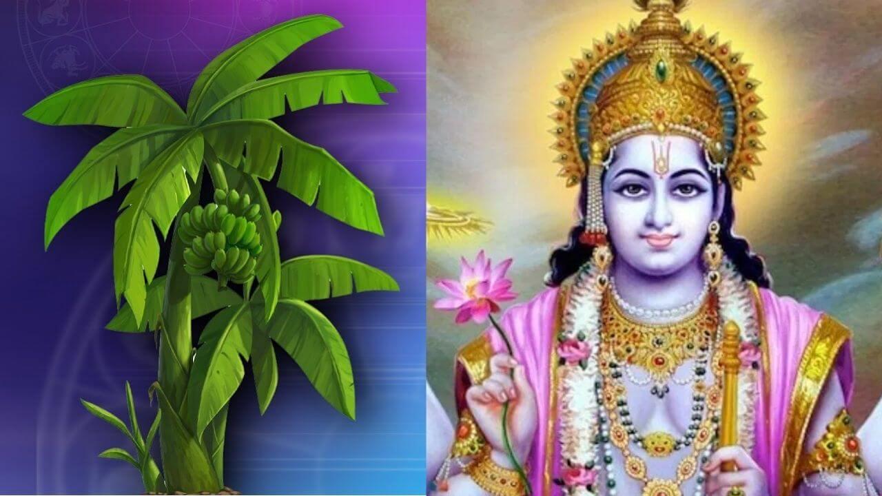 गुरुवार को केले के पेड़ से करें ये 3 काम, माँ लक्ष्मी की कृपा बरसेगी घर-घर