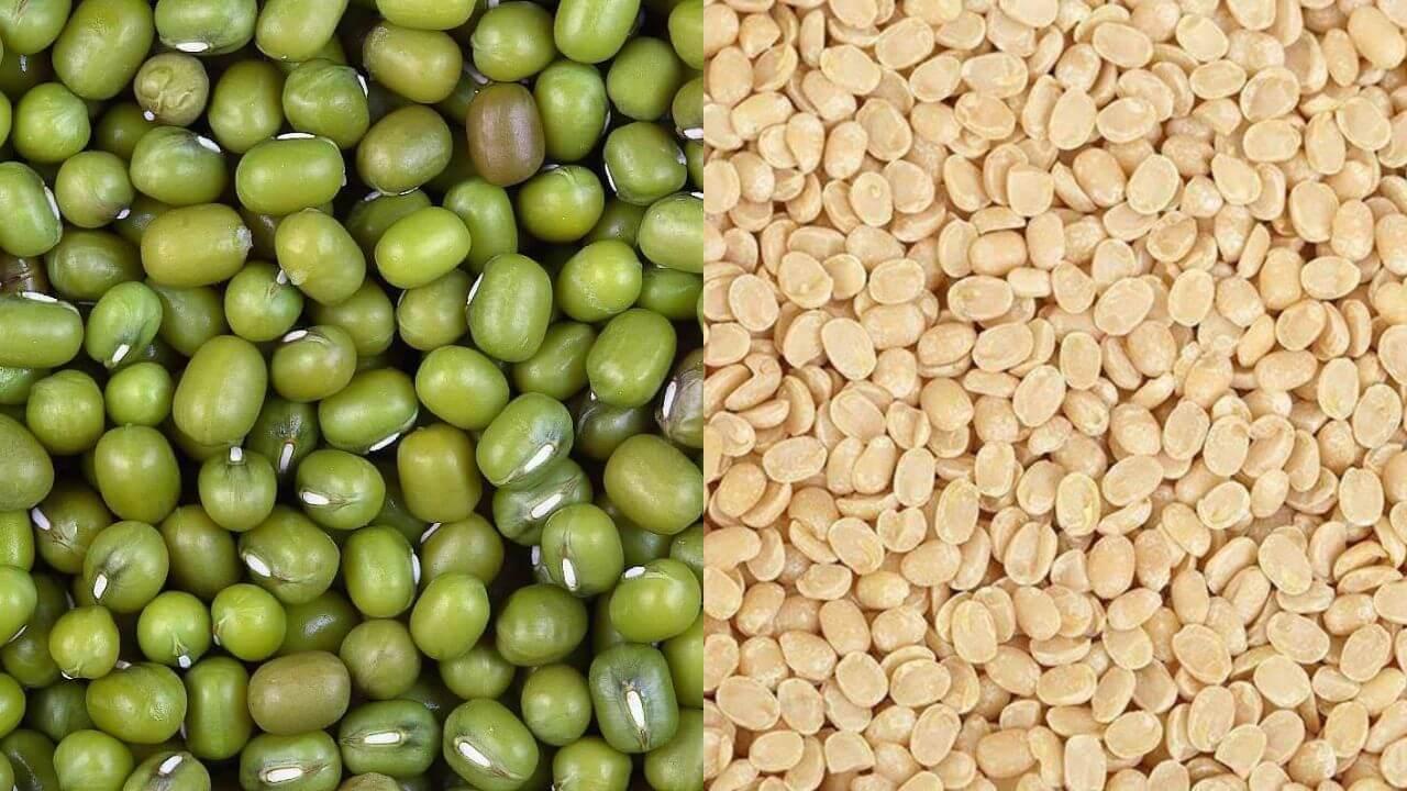 मध्य प्रदेश के किसानों के लिए अपडेट, मूंग-उड़द उपार्जन के लिए पंजीयन जारी, 7 जुलाई से होगी खरीदी,  जानें रेट-नियम-प्रक्रिया